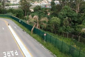 Captura-de-Tela-2022-08-17-às-14.33.44 (3)